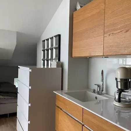 Appartement Elegant Penthouse Loft - Center
